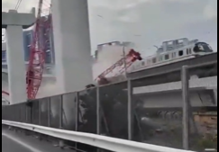 Crane collapses onto moving train