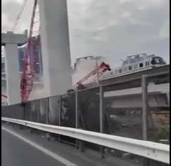 Crane collapses onto moving train