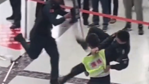 Kungfu Cop