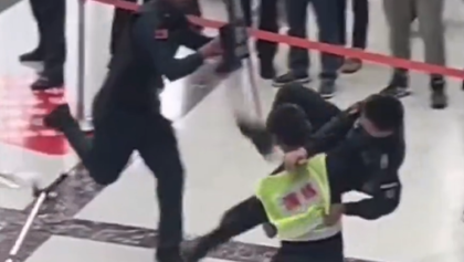 Kungfu Cop