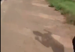 Live Bridge collapses in Brazil