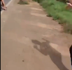 Live Bridge collapses in Brazil