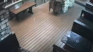 Suspect try while concealing in dining establishment patio area